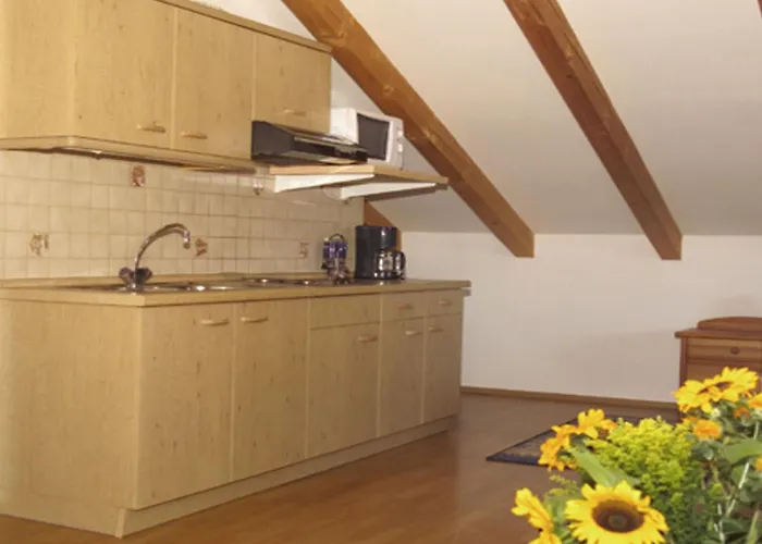 Stecher Apartment