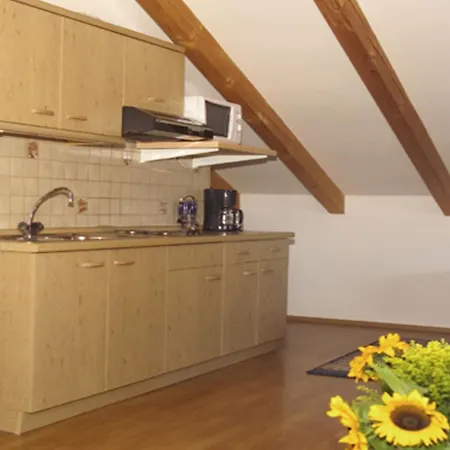 Stecher Apartment